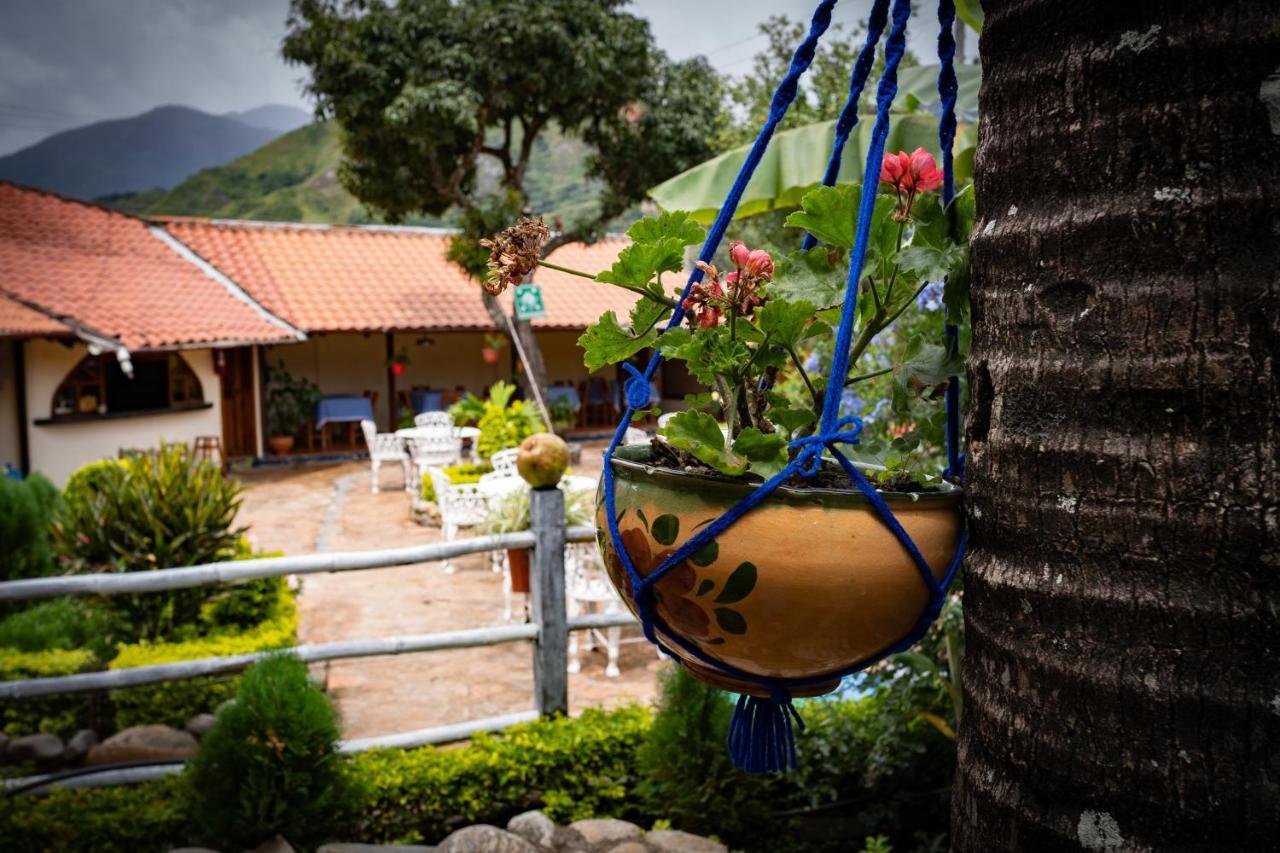 Hostal Jardin Escondido Vilcabamba Εξωτερικό φωτογραφία